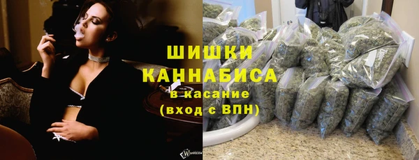 стафф Богданович